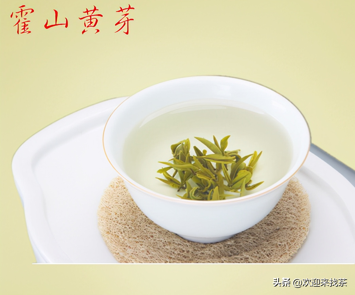 黄茶是什么茶？黄茶的存在感为什么很低