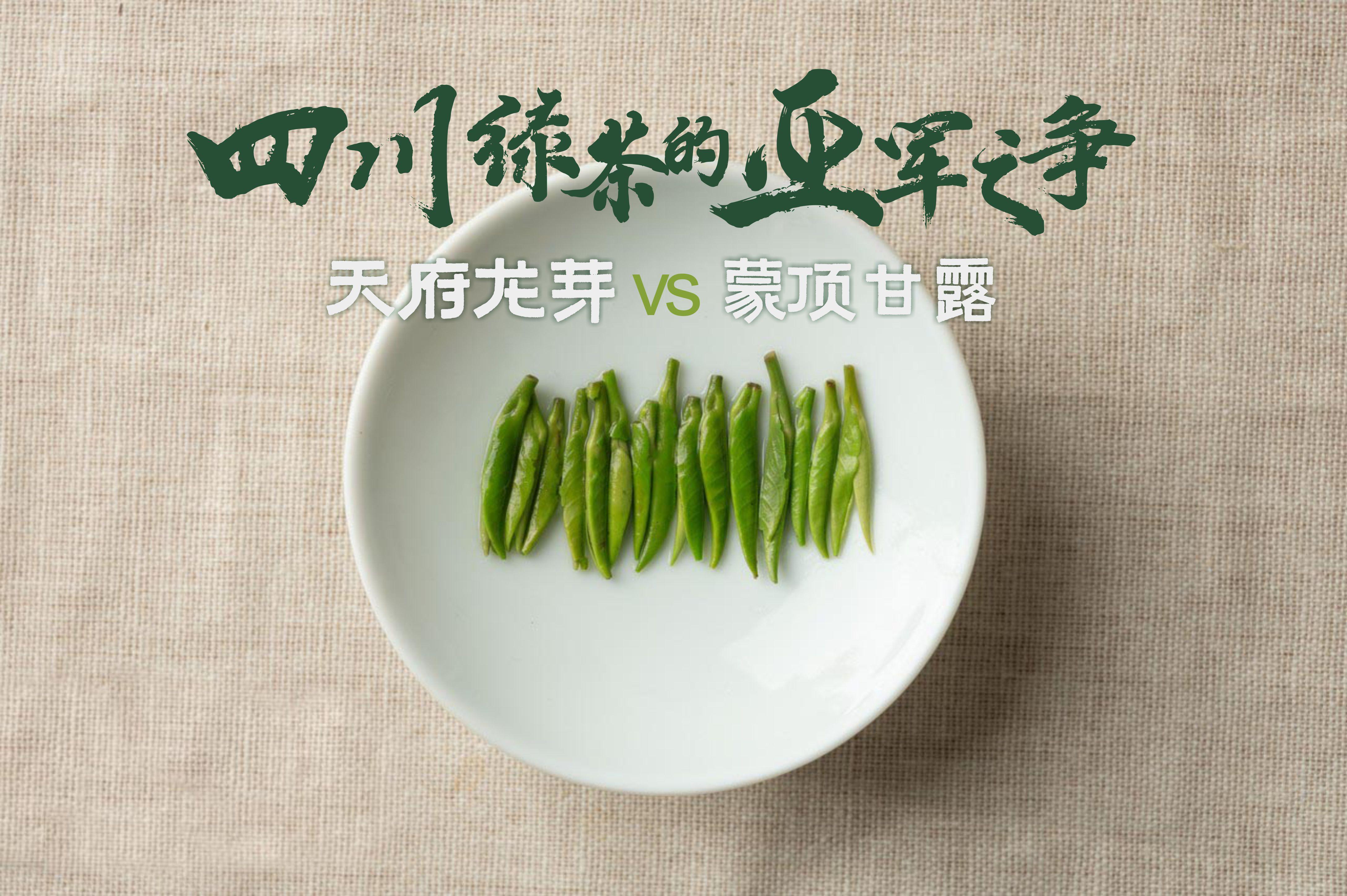 四川茶的内部交流赛，蒙顶甘露与天府龙芽的川茶亚军之争，看评测