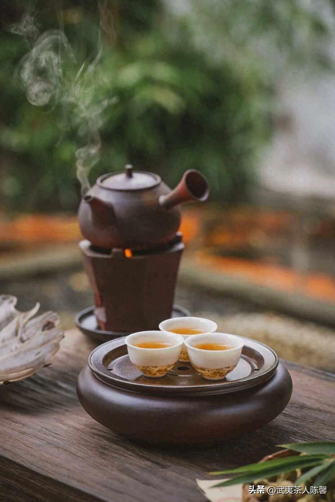 喝茶篇如何看茶泡茶