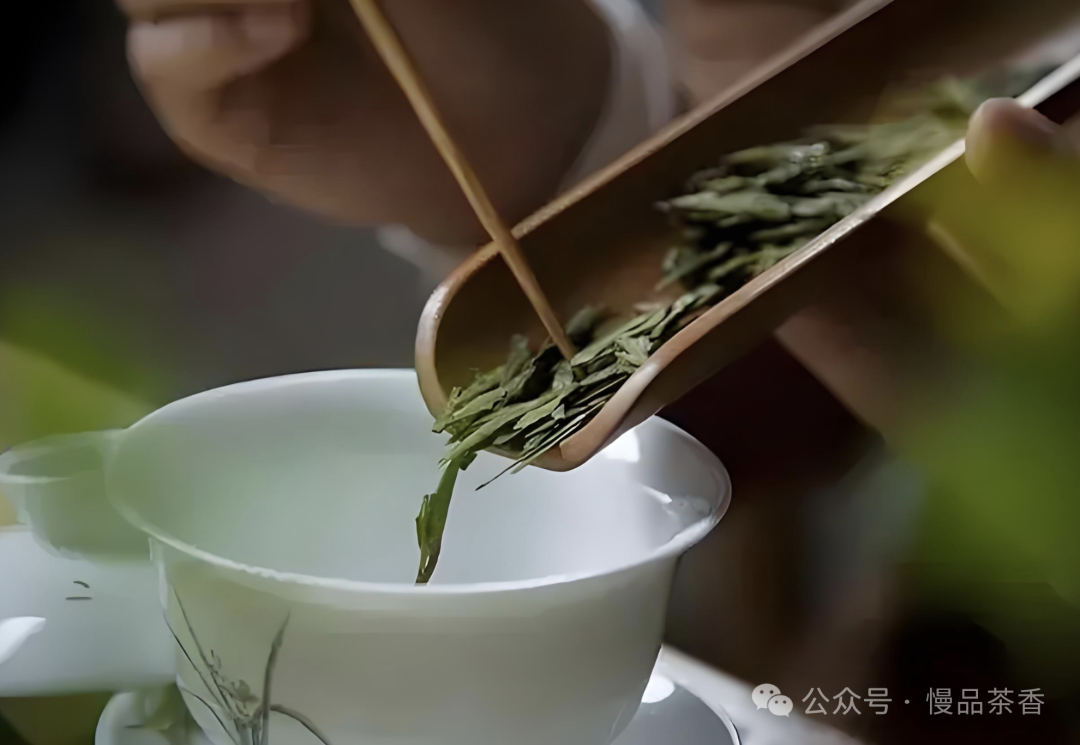 辨别好的绿茶，只需一眼！