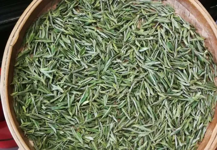 明明白白喝野茶：你懂得野生茶和古树茶的区别吗？