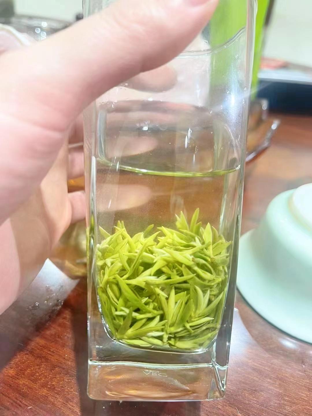 如何从「茶外形」识别头采蒙顶甘露是否为高等级茶