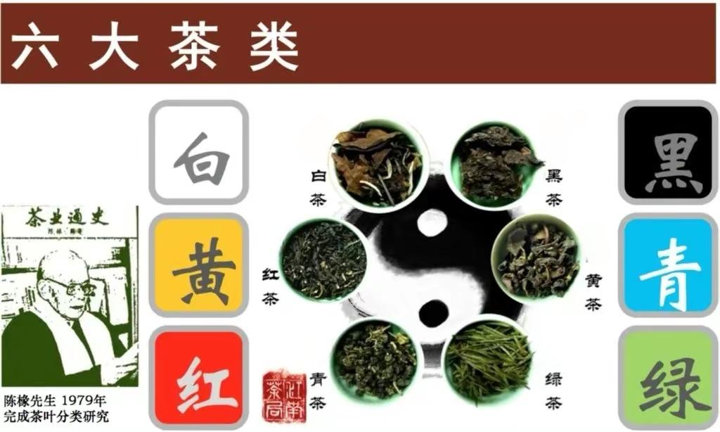 一文讲透绿茶、青茶、红茶、黄茶、黑茶、白茶！